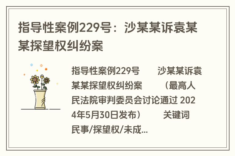 指导性案例229号：沙某某诉袁某某探望权纠纷案