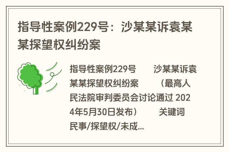 指导性案例229号：沙某某诉袁某某探望权纠纷案